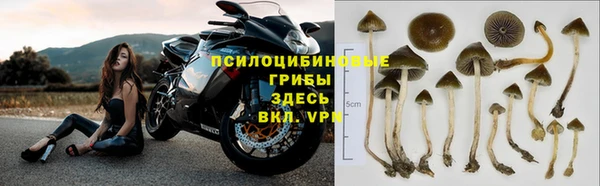 apvp Богородск