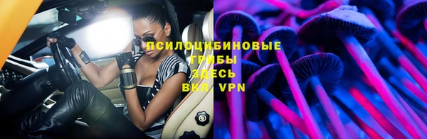 apvp Богородск