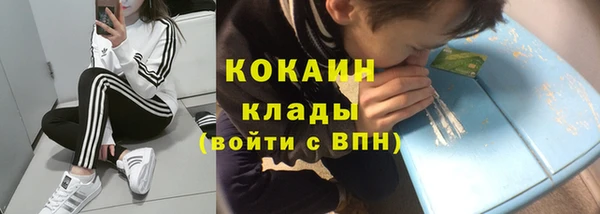 apvp Богородск