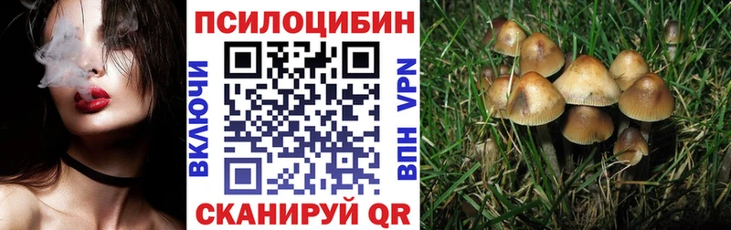 Псилоцибиновые грибы мицелий  Дюртюли 